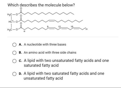 This molecule is a triglyceride. but would it be c or d? ?