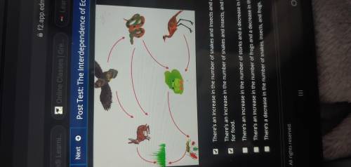 An ecosystem Is shown in the Illustration. Assume that human activities have led to a decrease in th