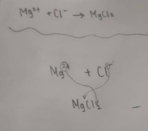 Write formulas for the ionic compounds formed by the following ions 
magnesium and chloride