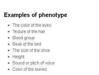 Phenotype or Genotype?
Brown Hair:
BB:
11 Phenotype
:: Genotype