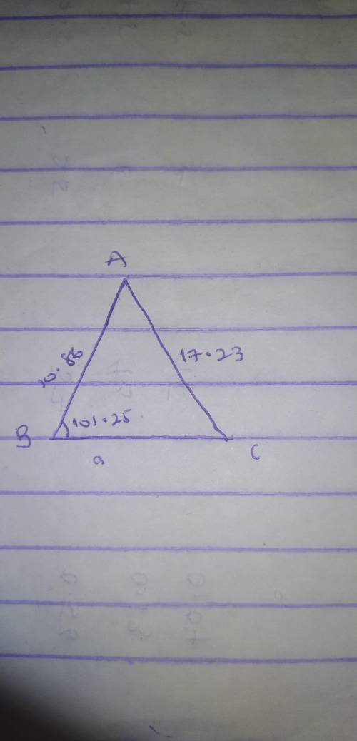 Calculate the values of angles A and C of triangle ABC, where b =17.23cm,c=10.86cm and B=10 1 degree