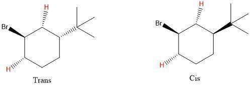 Which stereoisomer ― cis− or trans−1−bromo−3−tert−butylcyclohexane ― will react faster in an e2 elim