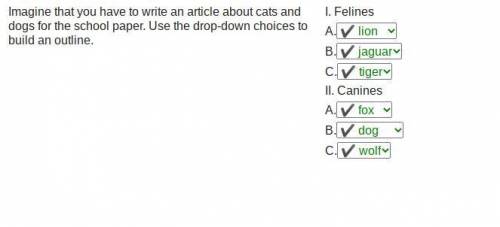 I WILL MARK BRAINLISTEST 1. Felines Imagine that you have to write an article about cats and dogs fo