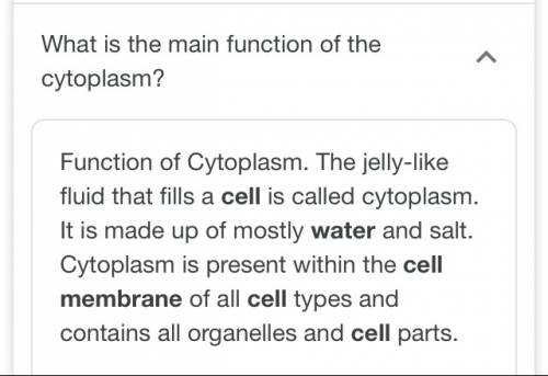 What are the 3 major functions of the cytoplasm