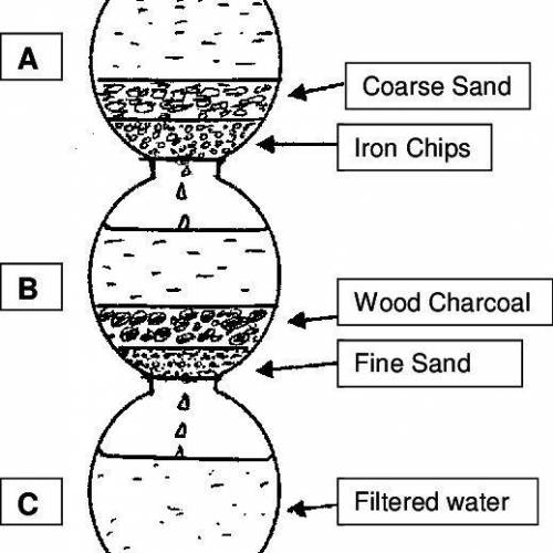 Figure of sand-pitcher filtration​