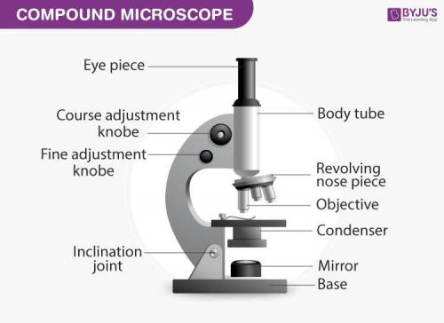 Compound microscope write the figures​