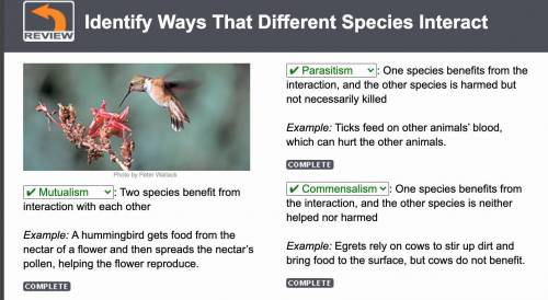 Two species benefit from interaction with each other

Example: A hummingbird gets food from the nect