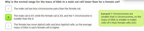 Why is the normal range for the mass of DNA in a male cat cell lower than for a female cat?

A
The m