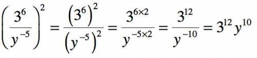 PLEASE HELP (3^6 y^-5)^2