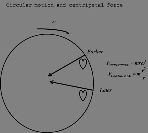 Discuss the circular nature of the rides and how centripetal force plays a role.