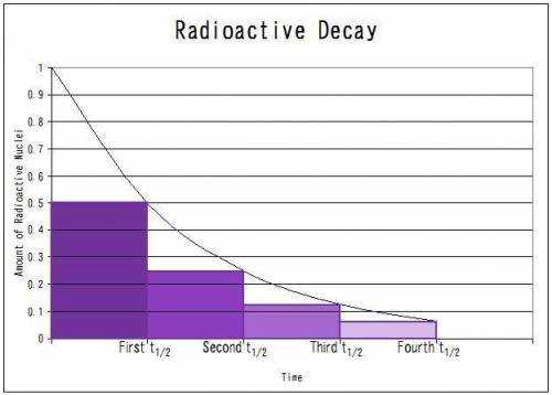 Which describes radioactive decay of a substance?   1) more of the radioactivity is lost during the 