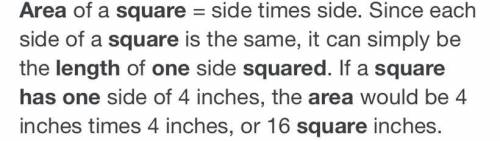 A square has an area of 1 square unit. What is the length of the square?​