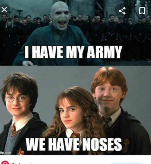Whomever gives me the best harry potter meme will get brainliest.