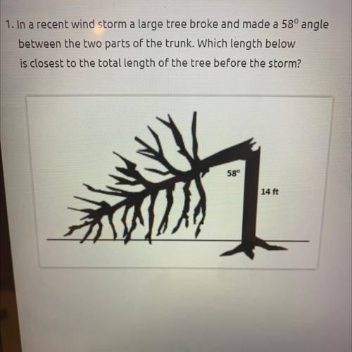 1. In a recent wind storm a large tree broke and made a 58° angle

between the two parts of the trun