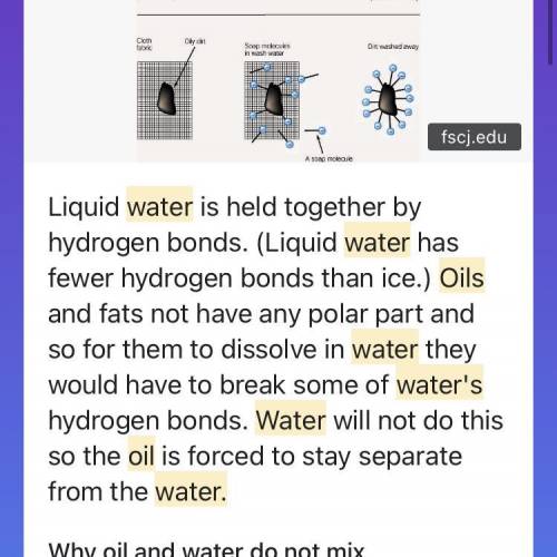 List one property that water and oil do not share.