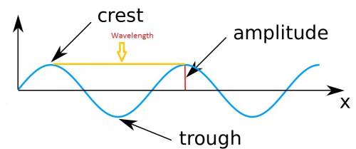 Which correctly identifies the parts of a transverse wave?  a:  crest b:  amplitude c:  wavelength d