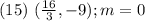 (15)\ (\frac{16}{3}, -9); m =0