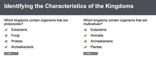 Which kingdoms contain organisms that are multicellular?

Eubacteria
Animalia
Archaebacteria
Plantae