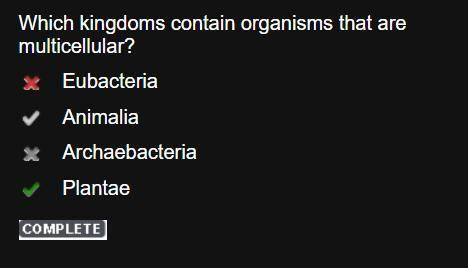 Which kingdoms contain organisms that are multicellular?

Eubacteria
Animalia
Archaebacteria
Plantae