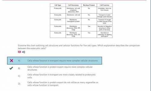 examine the chart outlining cell structure and cellular functions for five cell types which explanat