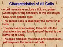 Cell and chromosome characteristics? ​