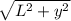 \sqrt{L^2 +y^2}