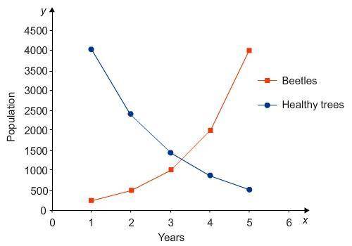 Draw a line graph showing the population of beetles and healthy trees in the forest for five years.