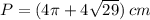 P=(4 \pi + 4\sqrt {29}) \: cm