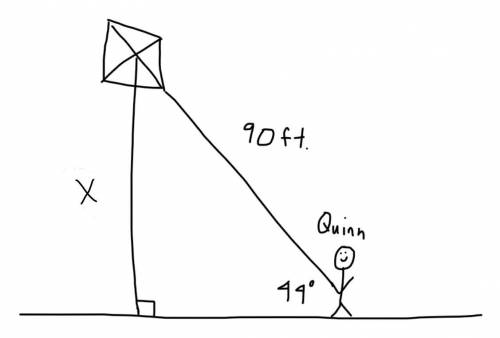 Quinn is flying a kite. The angle of elevation formed by the kite string and the ground is 44°, and
