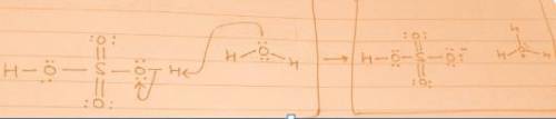 Draw a mechanism for the protonation of water in sulfuric acid. Write out the structures of water an