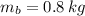 m_{b} = 0.8\,kg