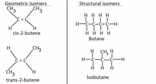 Which isomers can have different physical or chemical properties?   structural isomers only geometri