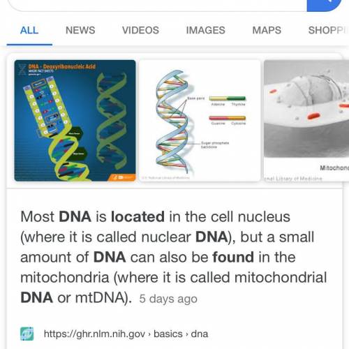 What are the function of dna?  where is it found
