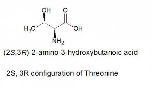 Threonine is a naturally occurring amino acid that has two stereogenic centers. the naturally occurr