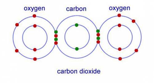 Which of the following is the name for two or more types of atoms that are chemically bonded togethe