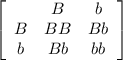 \left[\begin{array}{ccc}&B&b\\B&BB&Bb\\b&Bb&bb\end{array}\right]