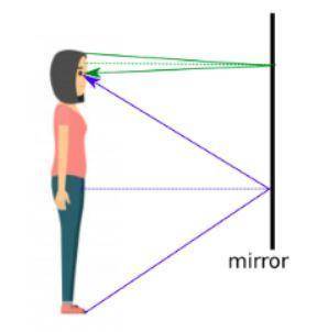 A woman is 160160cm tall. What is the minimum vertical length of a mirror in which she can see her e