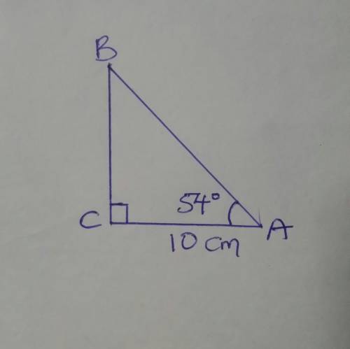 In triangle ABC,m angle C=90^ , m angle A=54^ , and CA = 10 centimeters . What is the length of over