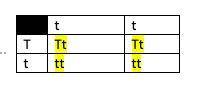 What is the probability for Tt x tt punnet square.​