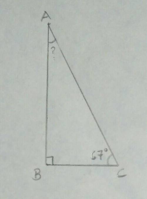 I need the measurement of angle a