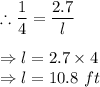 \therefore \dfrac{1}{4}=\dfrac{2.7}{l}\\\\\Rightarrow l=2.7\times 4\\\Rightarrow l=10.8\ ft