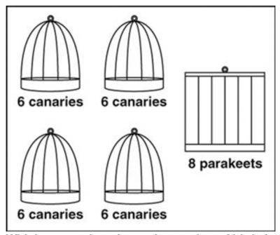 The wild things pet store has 4 birdcages with 6 canaries in eacg cage. The pet store also has a bir