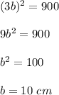 (3b)^2=900\\\\9b^2=900\\\\b^2=100\\\\b=10\ cm