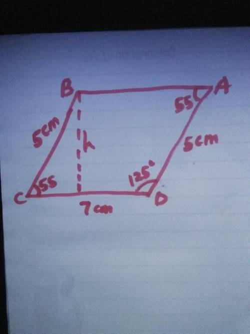 ABCD is a parallelogram in which cd = 7cm Ad = 5cm ND adc = 125.. Find correct to one decimal place