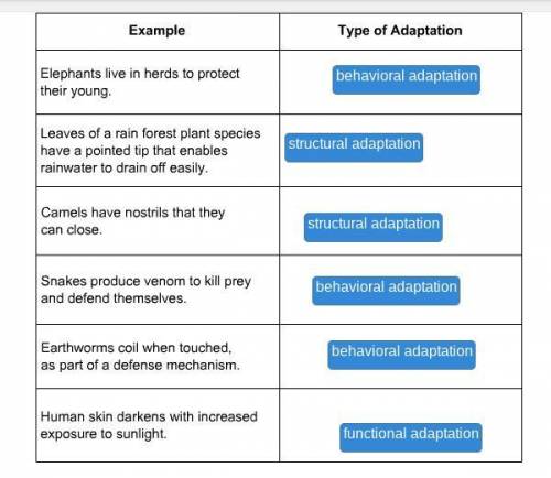 Match the type of adaptation to the correct example