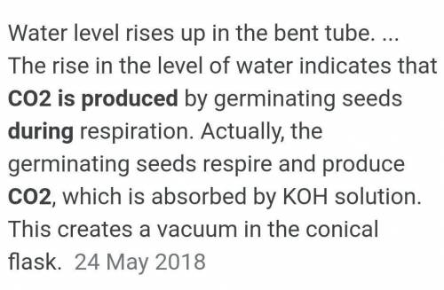 OC (5) How do you know that the gas produced during fermentation is carbon dioxide (2)​