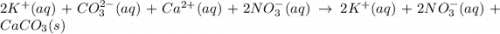 2K^{+}(aq)+CO_3^{2-}(aq)+Ca^{2+}(aq)+2NO_3^{-}(aq)\rightarrow 2K^+(aq)+2NO_3^-(aq)+CaCO_3(s)