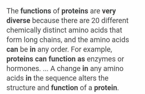 Proteins have a variety of functions within a living cell. What are the possible function of protein