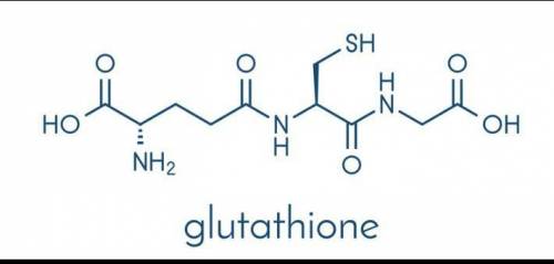 Nêu 2 cách hoạt động của glutathion trong tế bào hồng cầu