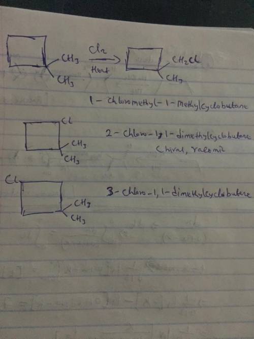 Draw bond-line formulas of all monochloro derivatives that might be formed when 1,1-dimethylcyclobut